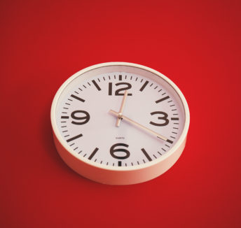 The working Chameleon: Changing with the times.