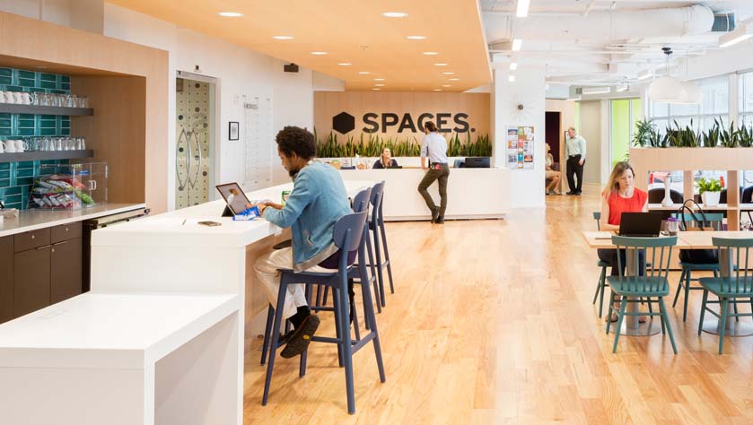 New Spaces opening in February